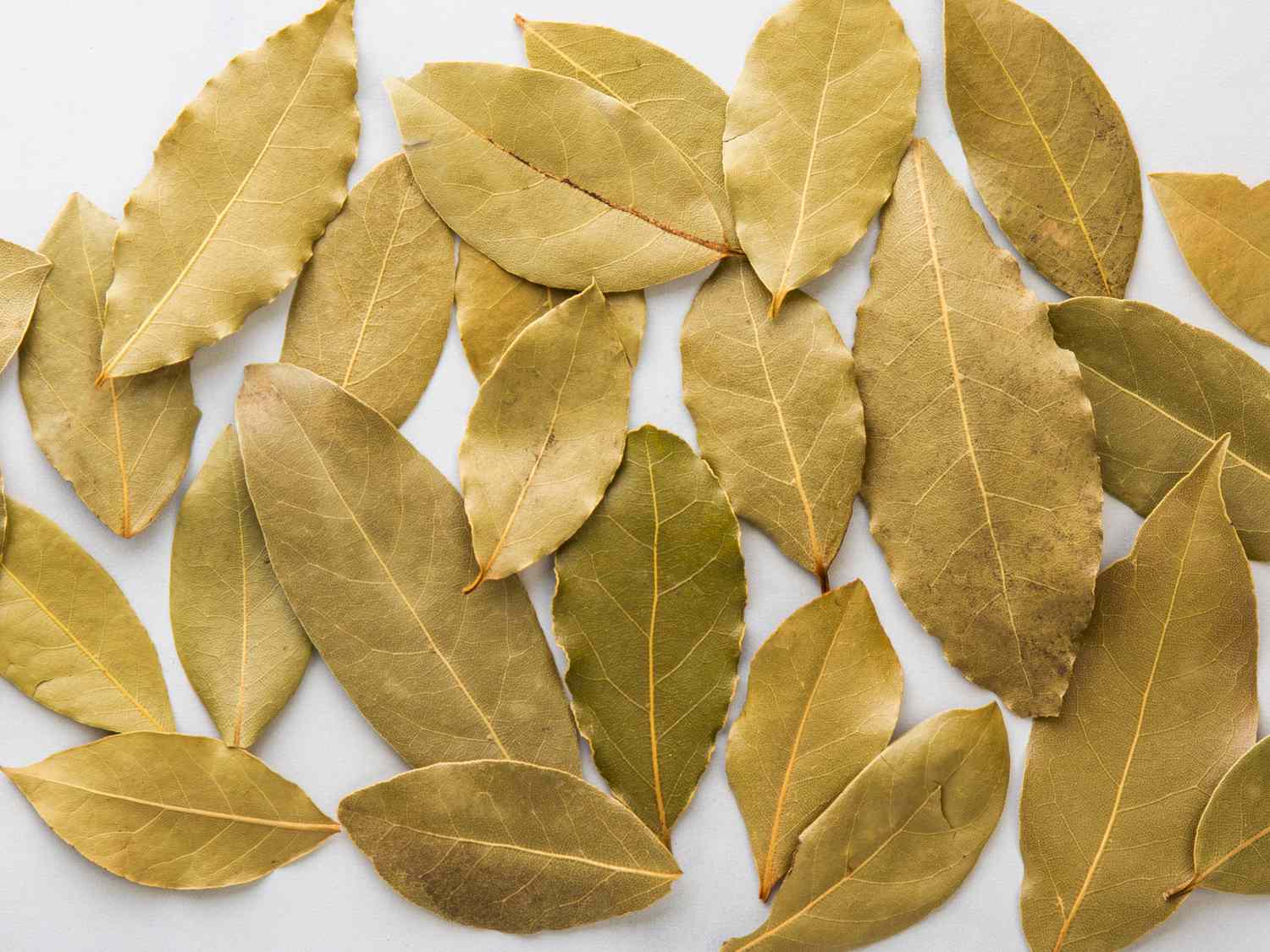 By Leaf